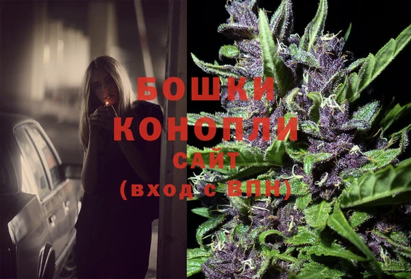 мдпв Михайлов