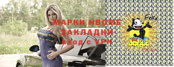 индика Невельск