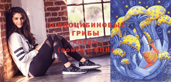 мдпв Михайлов