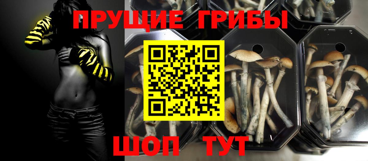 Ялта  Псилоцибиновые грибы Magic Shrooms  Вход с VPN  Псилоцибиновые грибы прущие грибы 